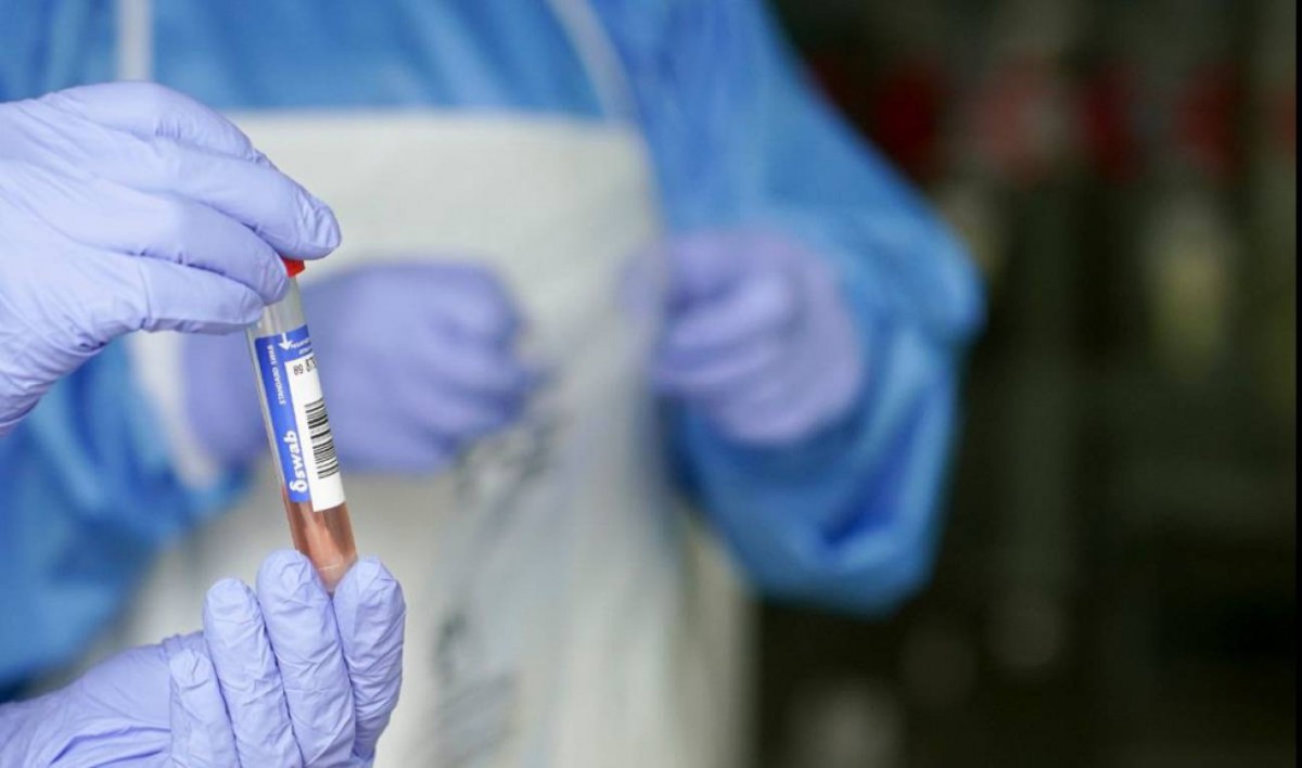 Una nova variant de la Covid infecta també ratolins