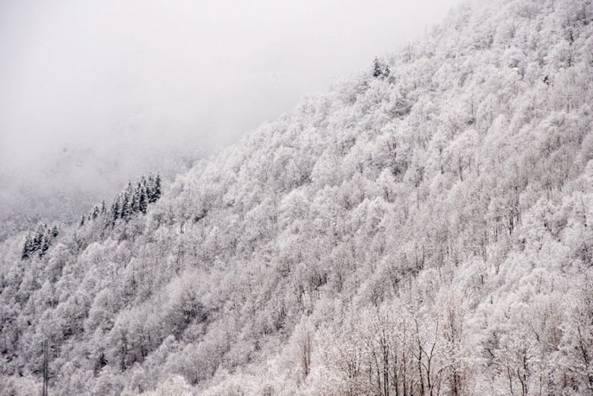 Les estacions de muntanya d'FGC preservaran i divulgaran els seus parcs naturals
