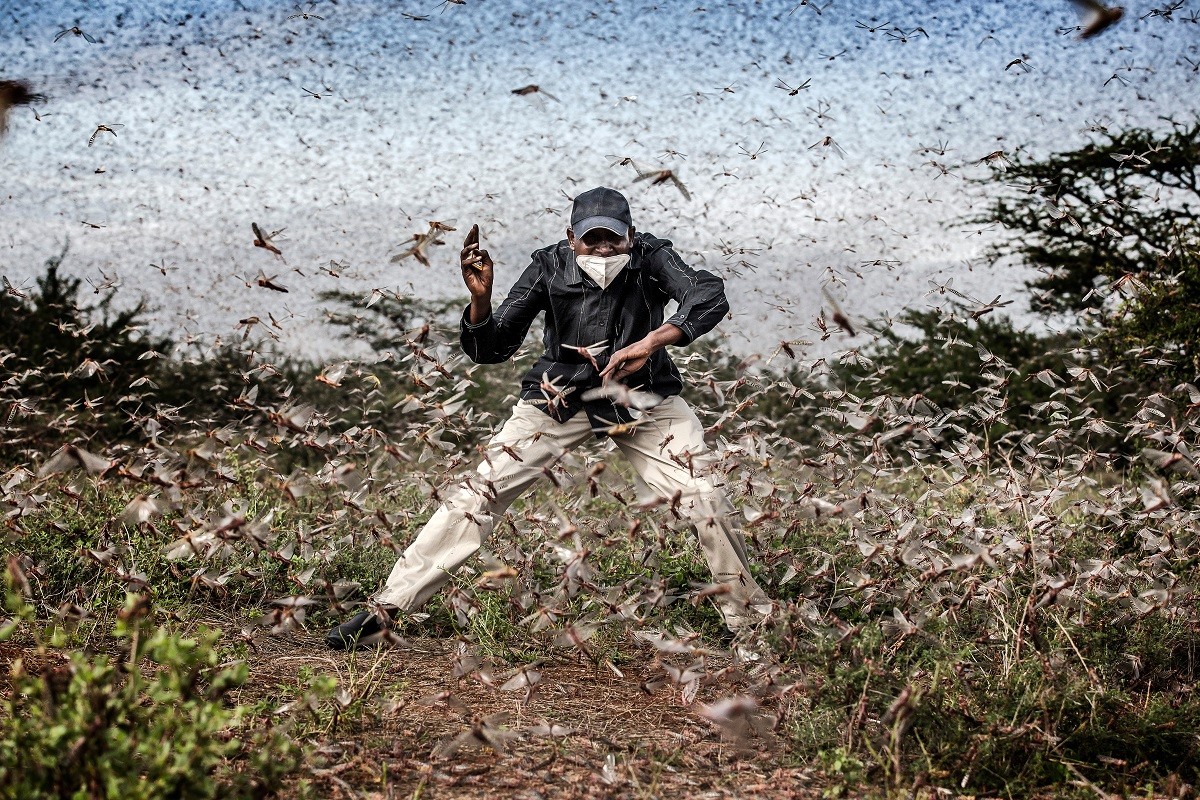 El català Luis Tato, finalista a la millor fotografia de l'any del World Press Photo 2021