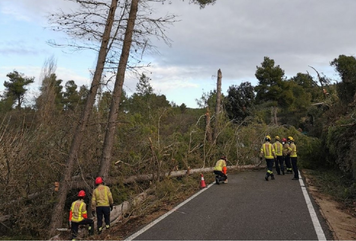 Protecció Civil activa la prealerta per vent de més de 72 quilòmetres per hora a Catalunya