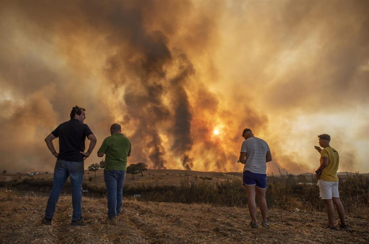 Els incendis forestals, els cotxes i les centrals elèctriques, factors de risc de l'Alzheimer