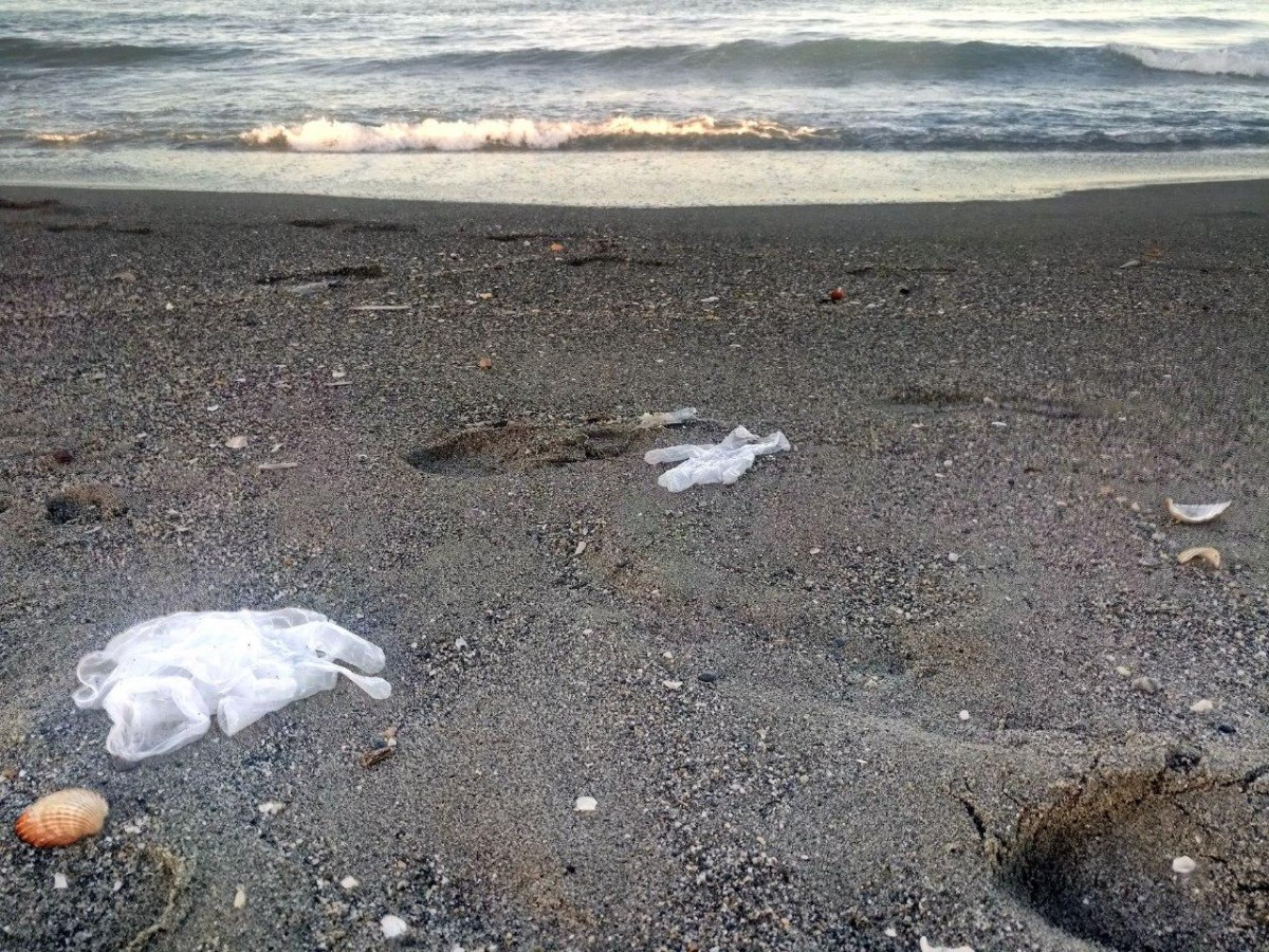 Les taques negres del litoral català: les platges assenyalades per contaminació o mala gestió