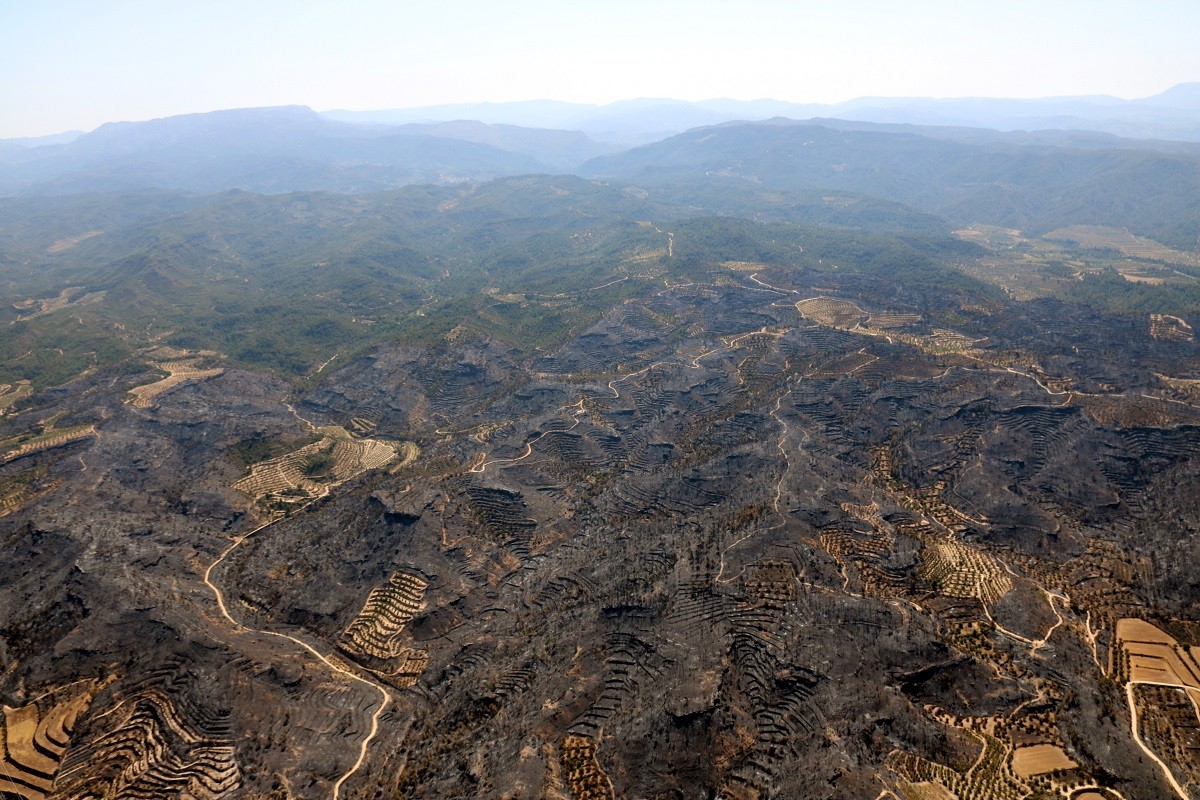 Un any de l'incendi de la Ribera d'Ebre. - ACN