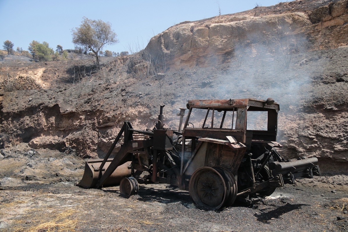 Un any de l'incendi de la Ribera d'Ebre. - ACN