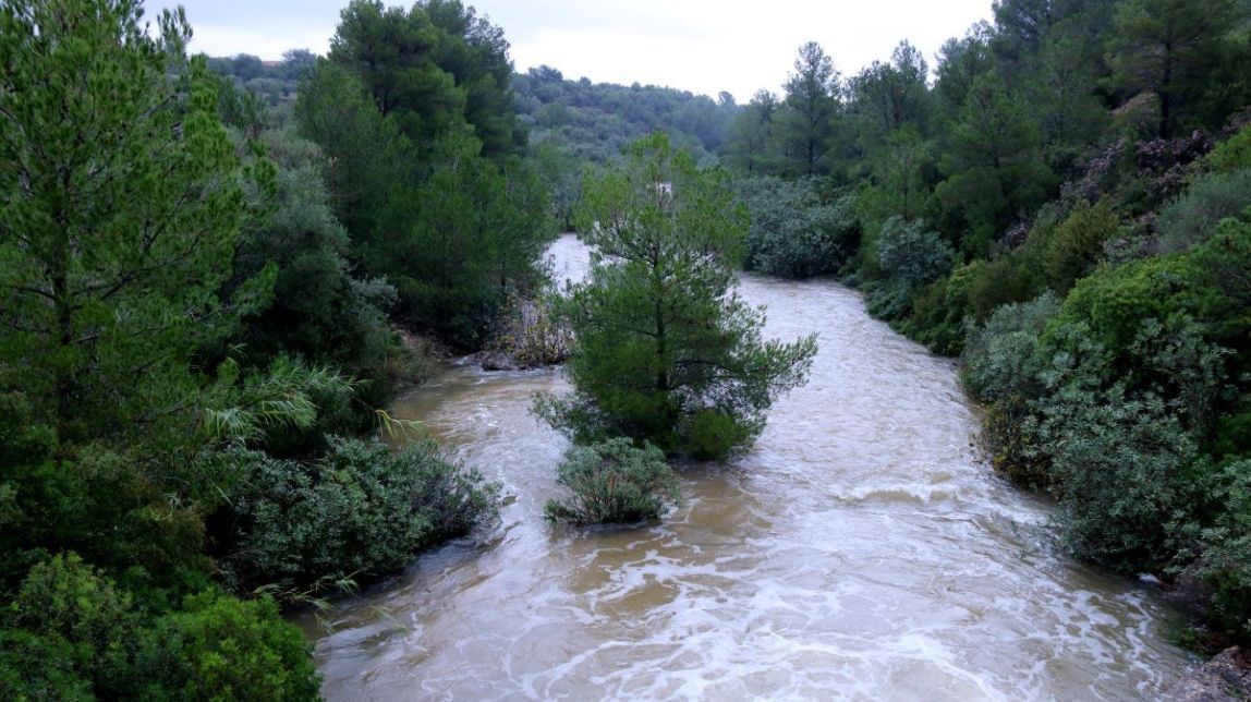 La DANA obliga a interrompre el servei de trens entre l'Aldea-Amposta i Tortosa