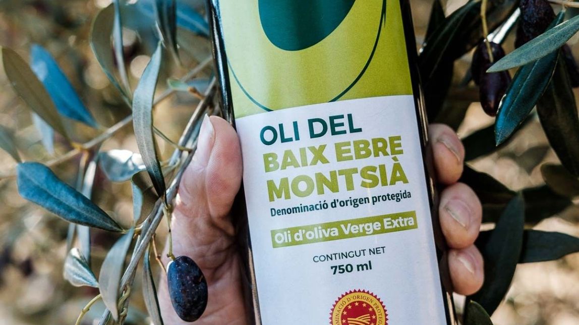 Les cooperatives de l'Oli del Baix Ebre i del Montsià donen suport total a les demandes dels pagesos 