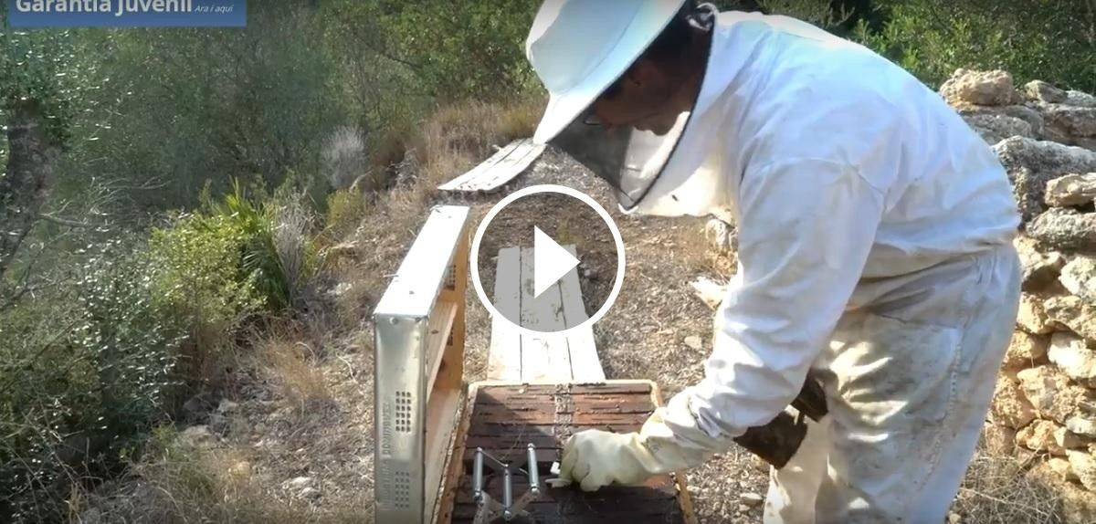 VÍDEO | Idees de negoci de joves emprenedors del Baix Ebre fetes realitat
