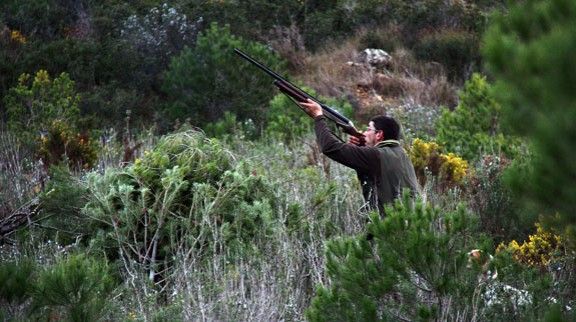 Territori signa l'autorització per poder caçar la polla d'aigua al Delta