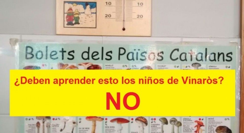 Queixes en un col·legi públic de Vinaròs per cartells didàctics sobre els 'Bolets dels Països Catalans'