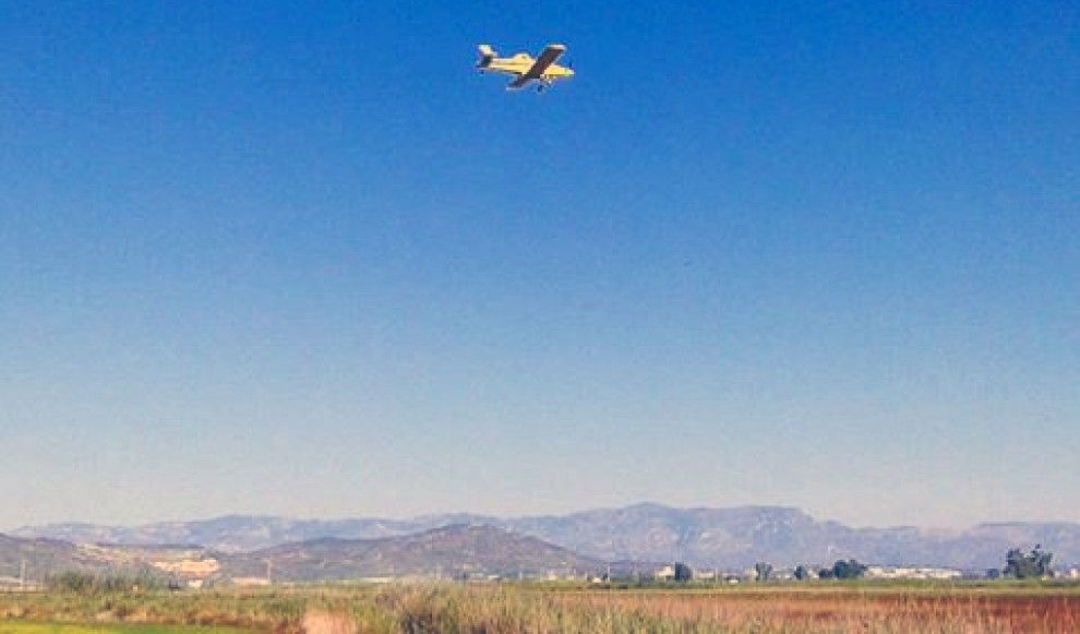El Copate farà dilluns un segon tractament contra els mosquits dels arrossars del Delta