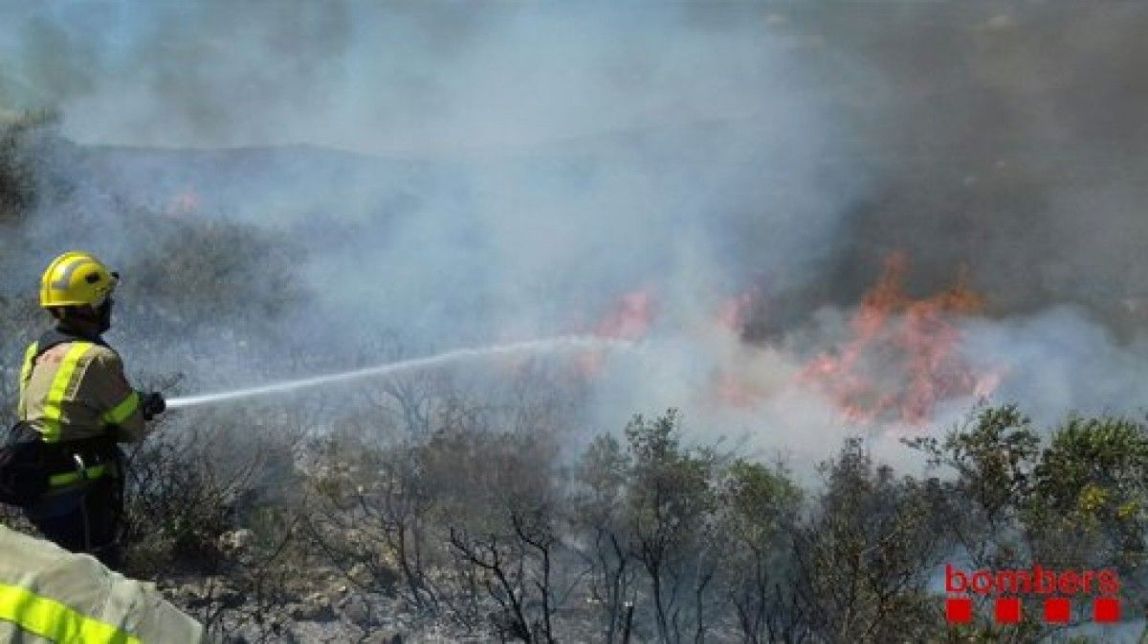Un incendi forestal crema la part baixa del Montsianell, a Amposta