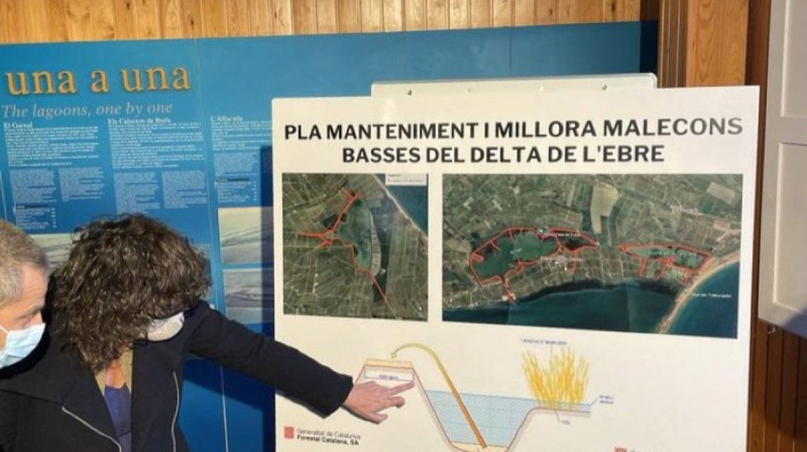 Acció Climàtica licita les obres de reforçament de les guardes de protecció de les basses del Delta 