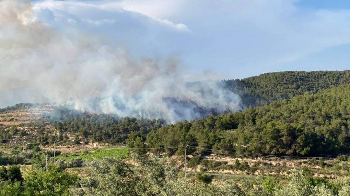 Els Bombers remullen l'incendi agrícola i forestal a la Terra Alta, que ja està estabilitzat