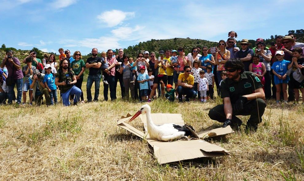 La Festa de les Cigonyes de Flix d'enguany serà en format virtual 

