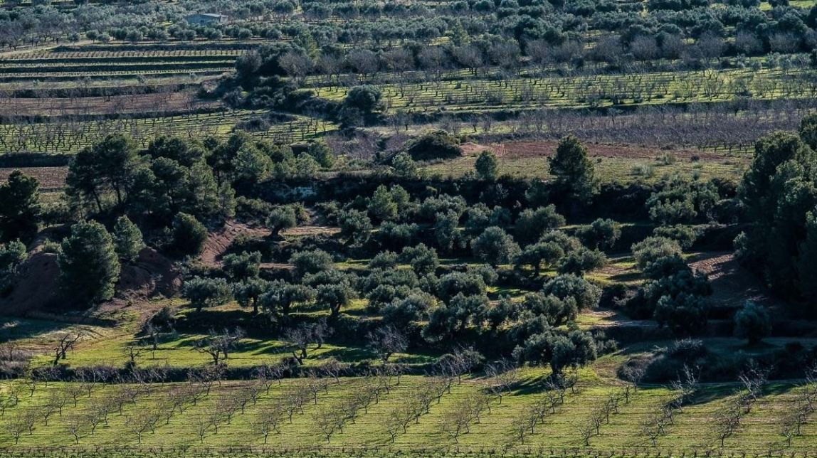 Unió de Pagesos demana compensacions tributàries per a la vinya i altres conreus de la Ribera d'Ebre i la Terra Alta
