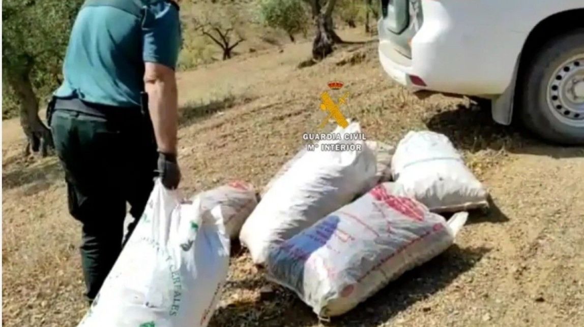 La Guàrdia Civil investiga dos homes pel robatori de 14 tones de garrofa a Vinaròs