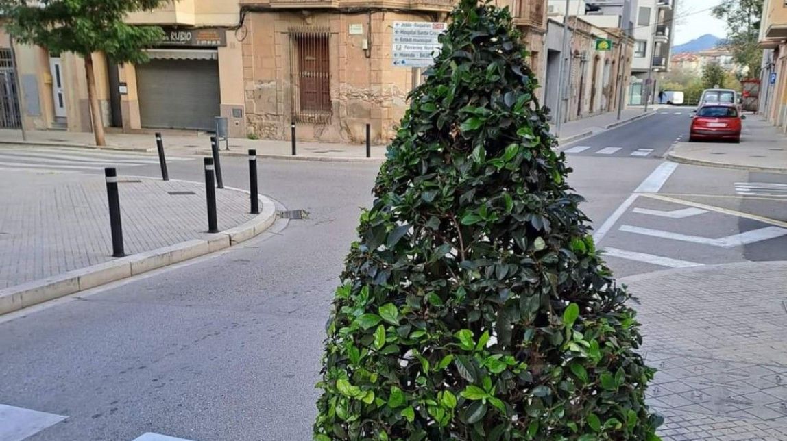 Es trasplantaran els arbres del carrer Llarg de Sant Vicent de Ferreries perquè resten visibilitat 