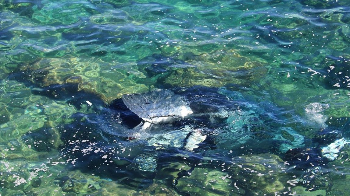 El conductor del cotxe que es va estimbar al mar a l'Ametlla de Mar podria haver patit un brot psicòtic
