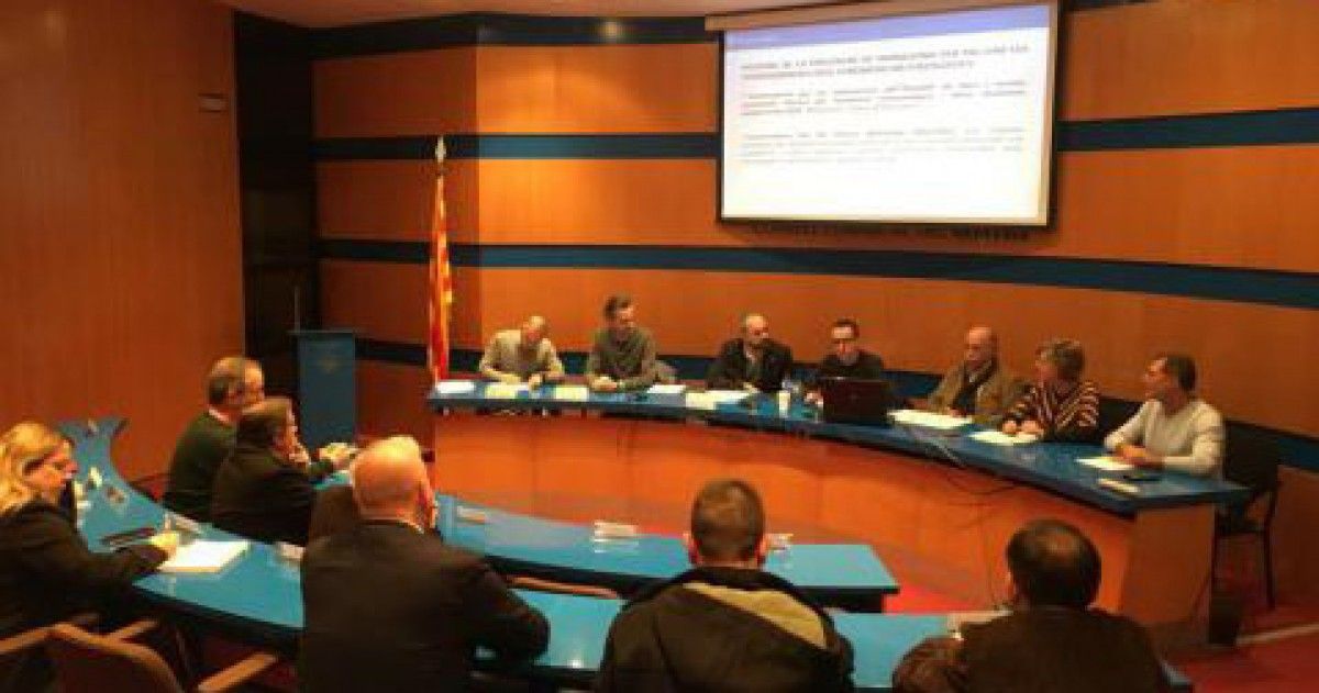 Els alcaldes del Montsià se solidaritzen amb Adam Tomàs, després de la situació viscuda al ple municipal