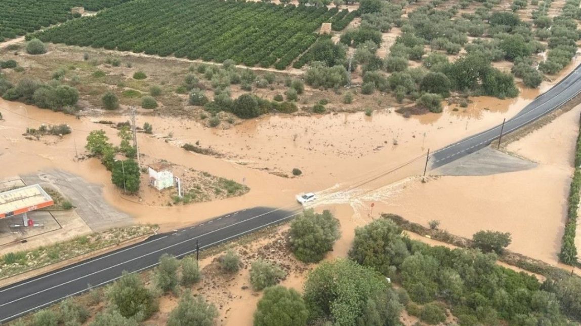 El sector agrari no preveu un descens  en la producció d'olivera, cítric i arròs a causa de la Dana