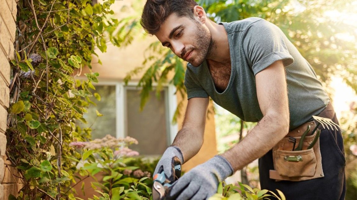 L’Institut Sól de Riu d’Alcanar impartirà el cicle formatiu d’Agrojardineria i Composicions Florals