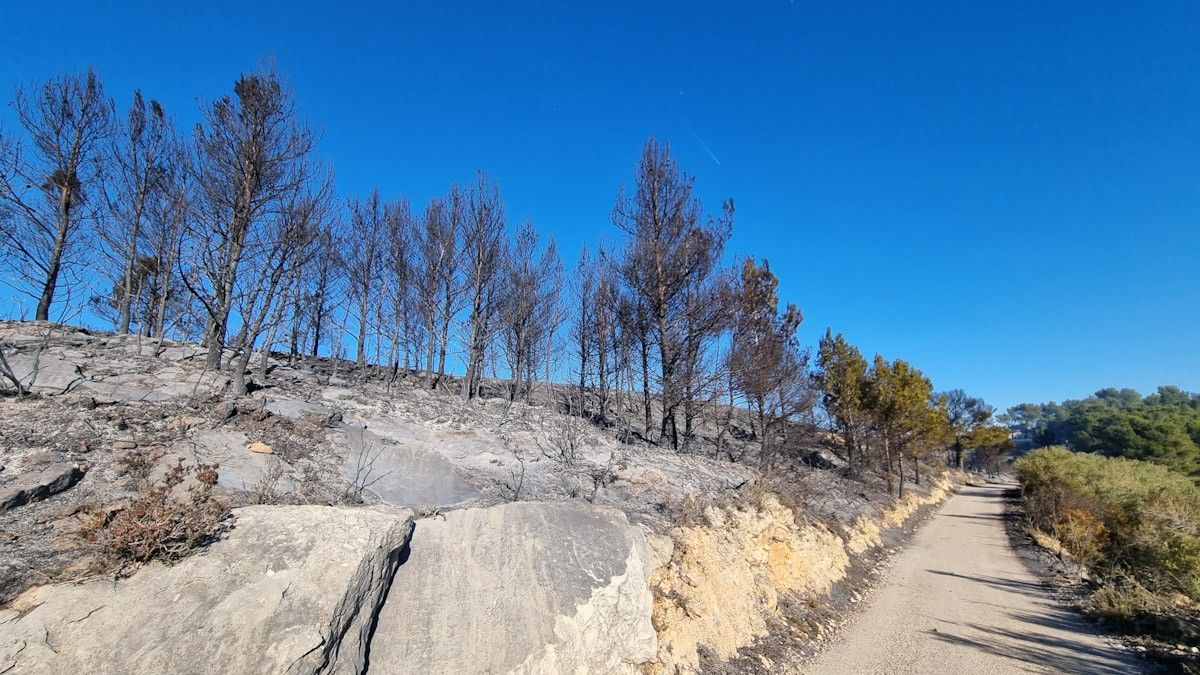 Una dotzena de dotacions dels Bombers revisen l'incendi forestal de Tortosa per evitar-hi revifalles