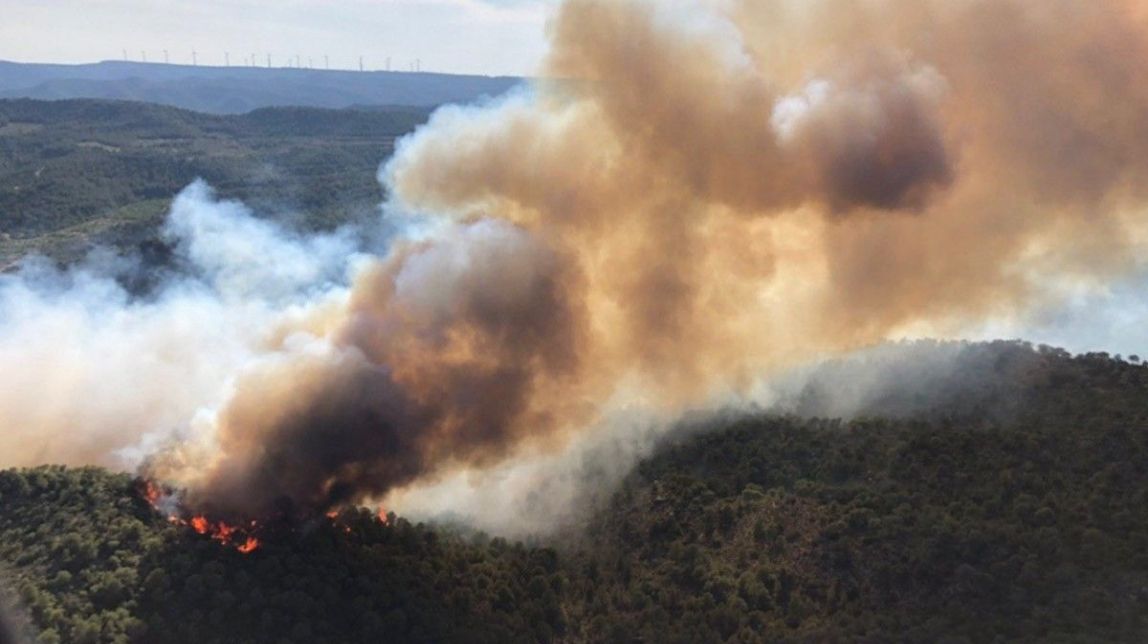 L'incendi del Perelló, un exemple de com els tractaments silvícoles frenen els focs