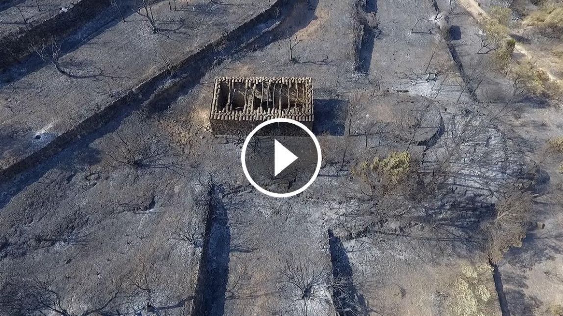 VÍDEO Les colpidores imatges del que queda després del foc a la Ribera d'Ebre
