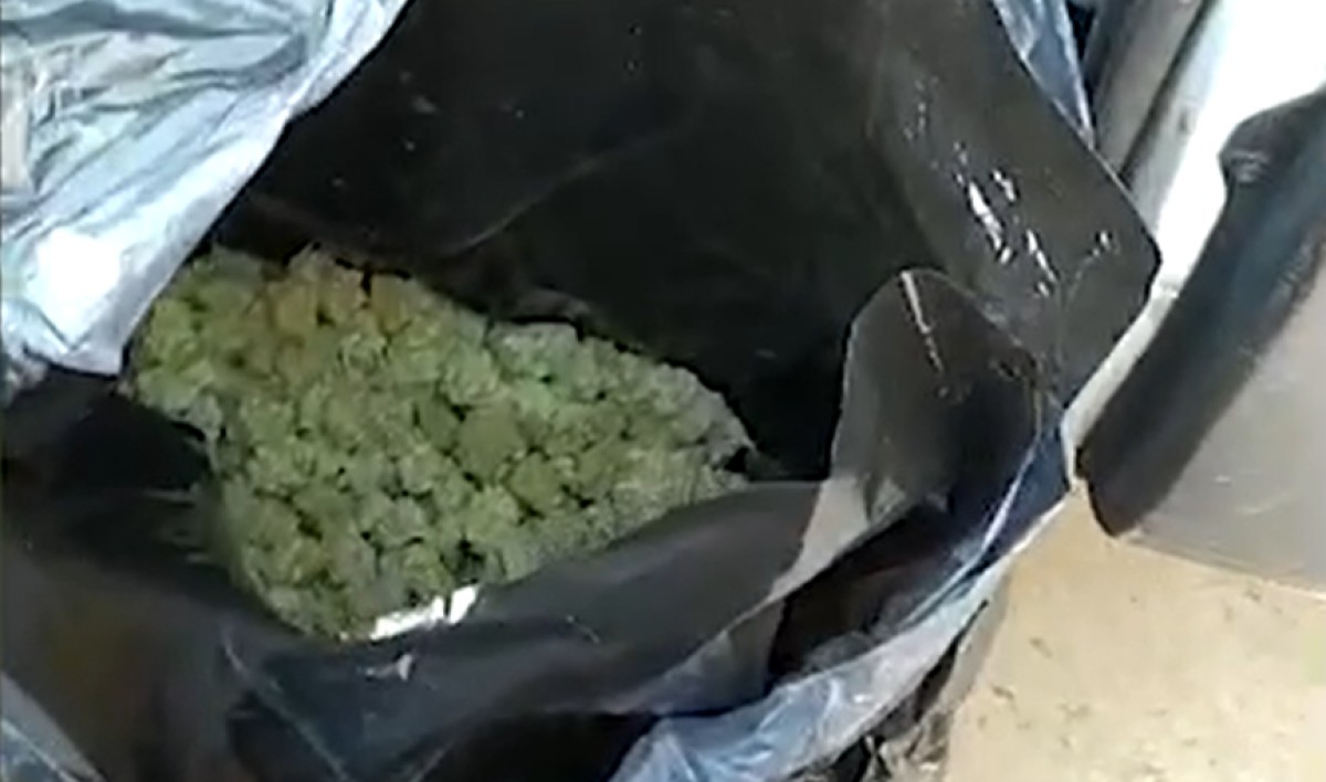 VÃDEO Interceptats 29kg de marihuana amagats en una furgoneta de missatgeria a Cubelles 