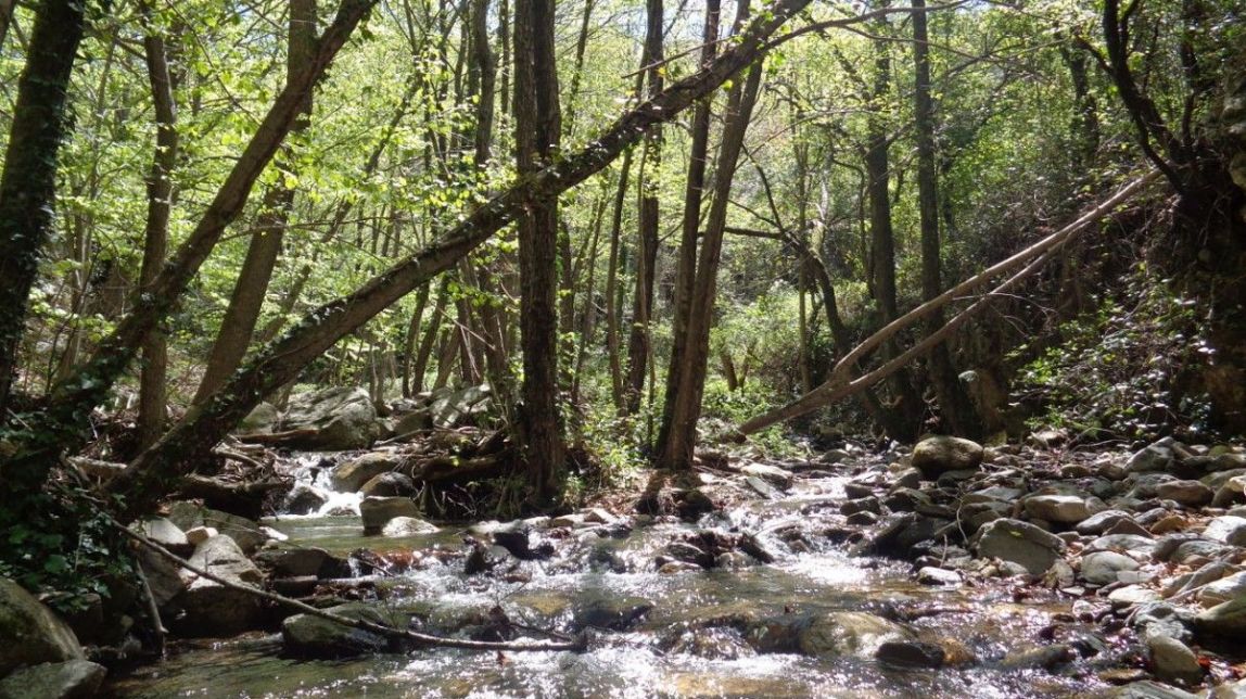 Camí de fades