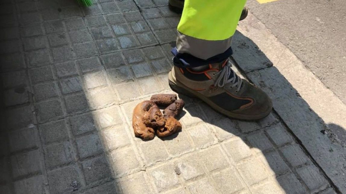 Sant Fruitós reactiva la recollida d'ADN caní per combatre l'incivisme a la via pública