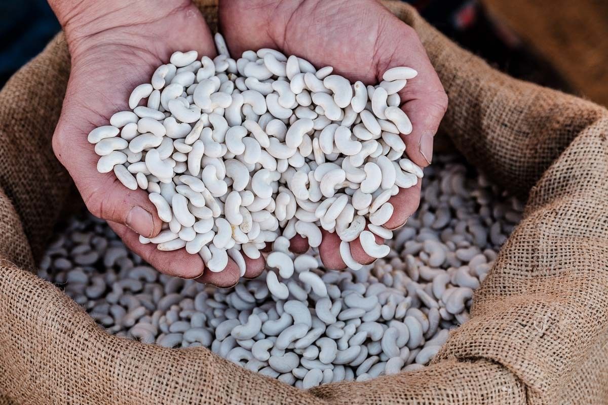 La Guia Michelin s'enamora de les mongetes del ganxet