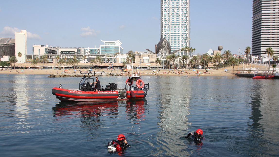 Barcelona Recupera 100 Esp cies Marines Un Any Despr s De La 