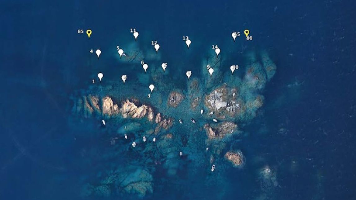 Els camps de boies han protegit la fauna i la flora al litoral empordanès durant el pic de turisme