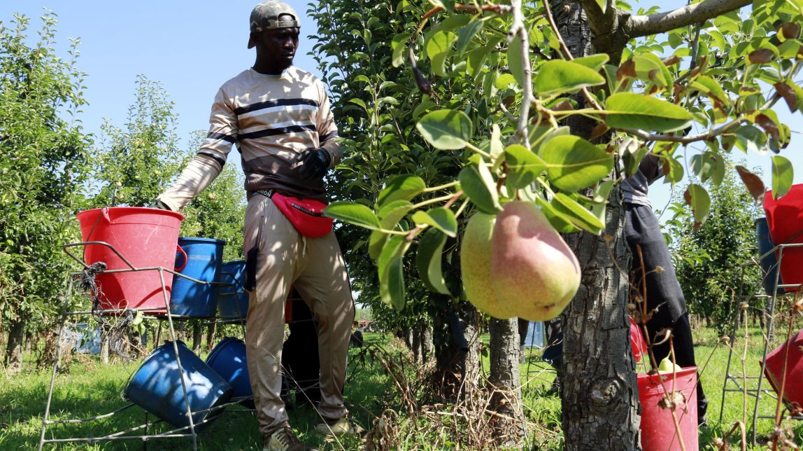 El camp lleidatà s’alça contra l’acord Mercosur per la manca de garanties en producció i seguretat alimentària