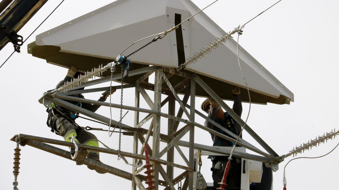 Endesa implementa solucions per evitar nius de cigonyes a les torres elèctriques del Pla d'Urgell