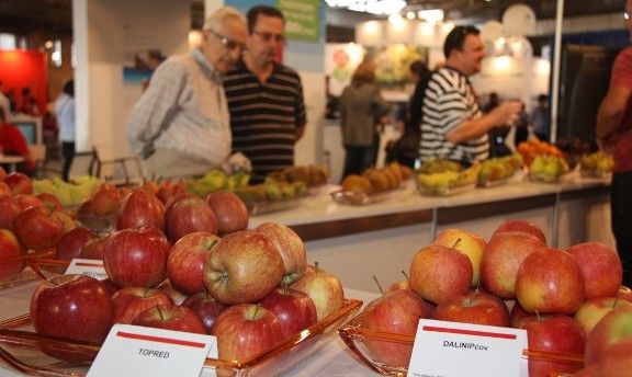Imatge de pomes en una fira - ACN Imatge de pomes en una fira