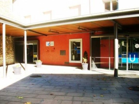Dos testimonis retenen un lladre a Terrassa