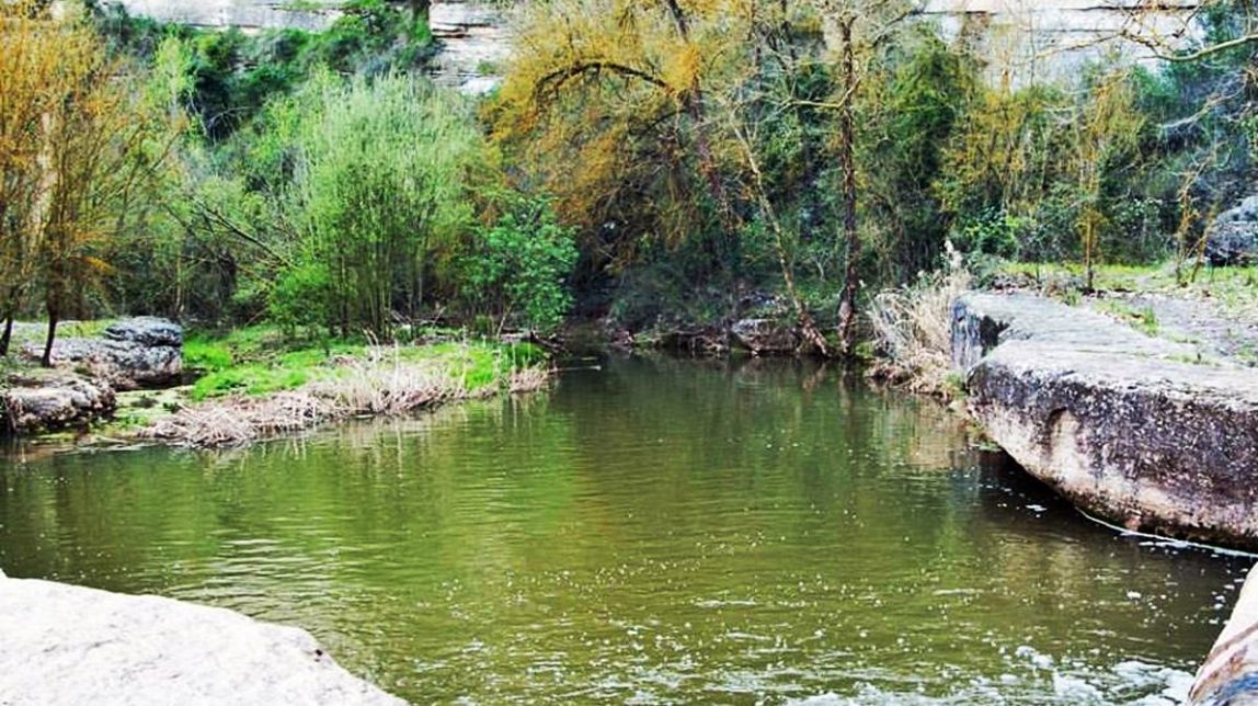 Tres aturades i tres poemes a la represa de les caminades en marxa nòrdica a l'Anella Verda