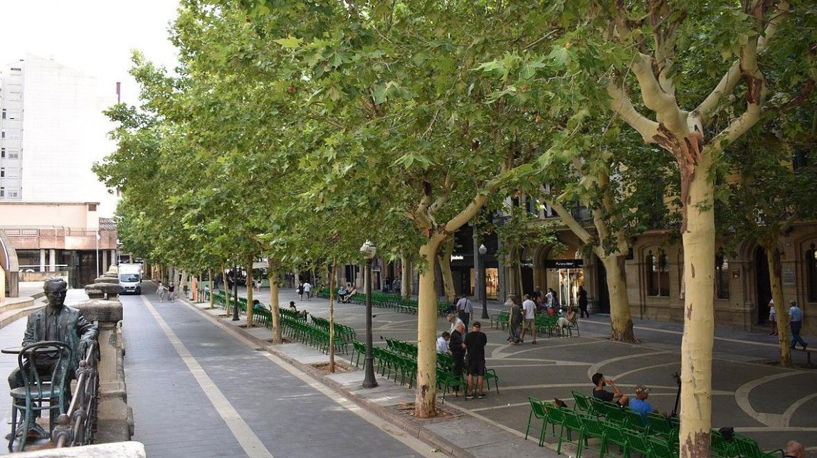 Tall de trànsit al lateral del Passeig per treballs de manteniment al Casino, aquest divendres