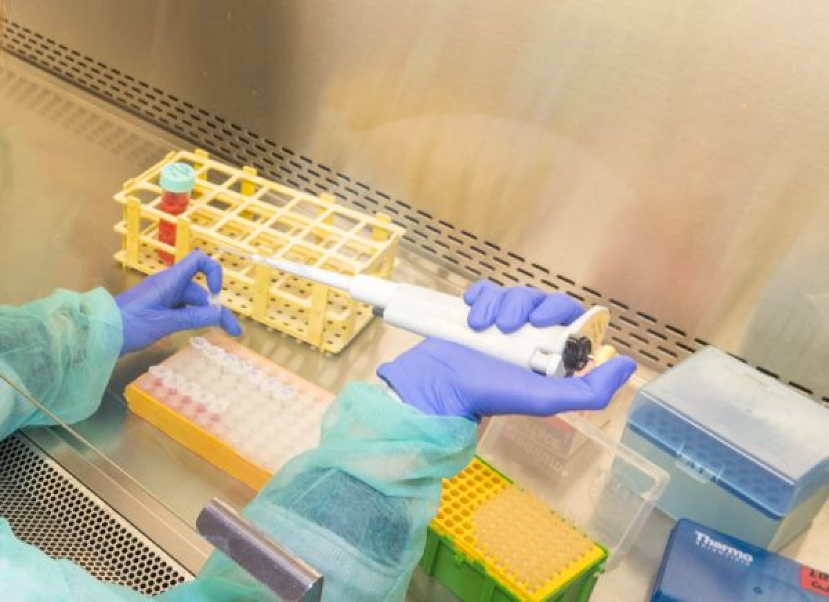 Identifiquen un nou tractament contra el càncer d'ovari a través de fàrmacs metabòlics