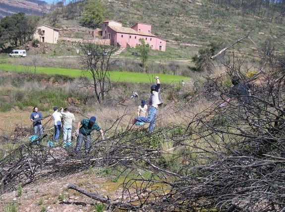 Com afavorir la biodiversitat després d'un incendi 