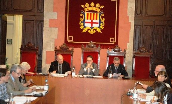 El ple insta les associacions de municipis a unificar-se