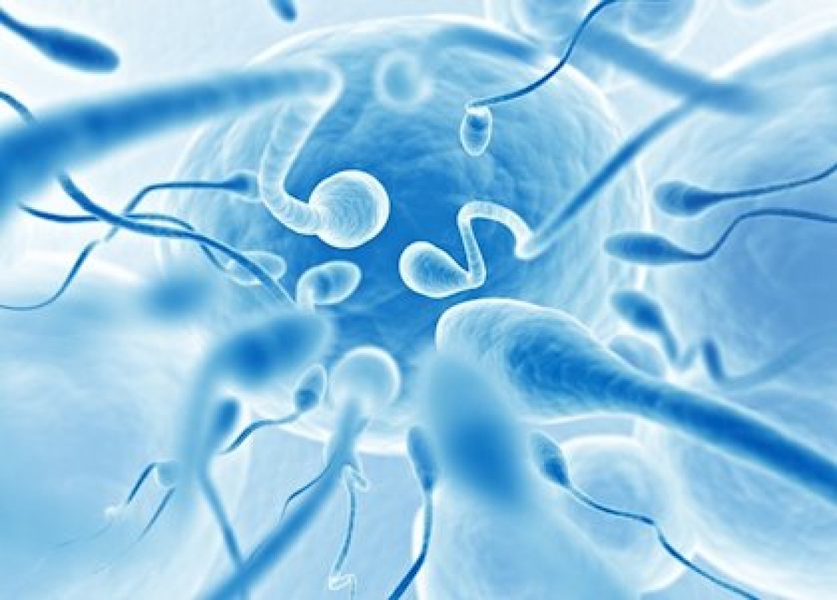 Troben coronavirus en el semen de pacients en fase de recuperació