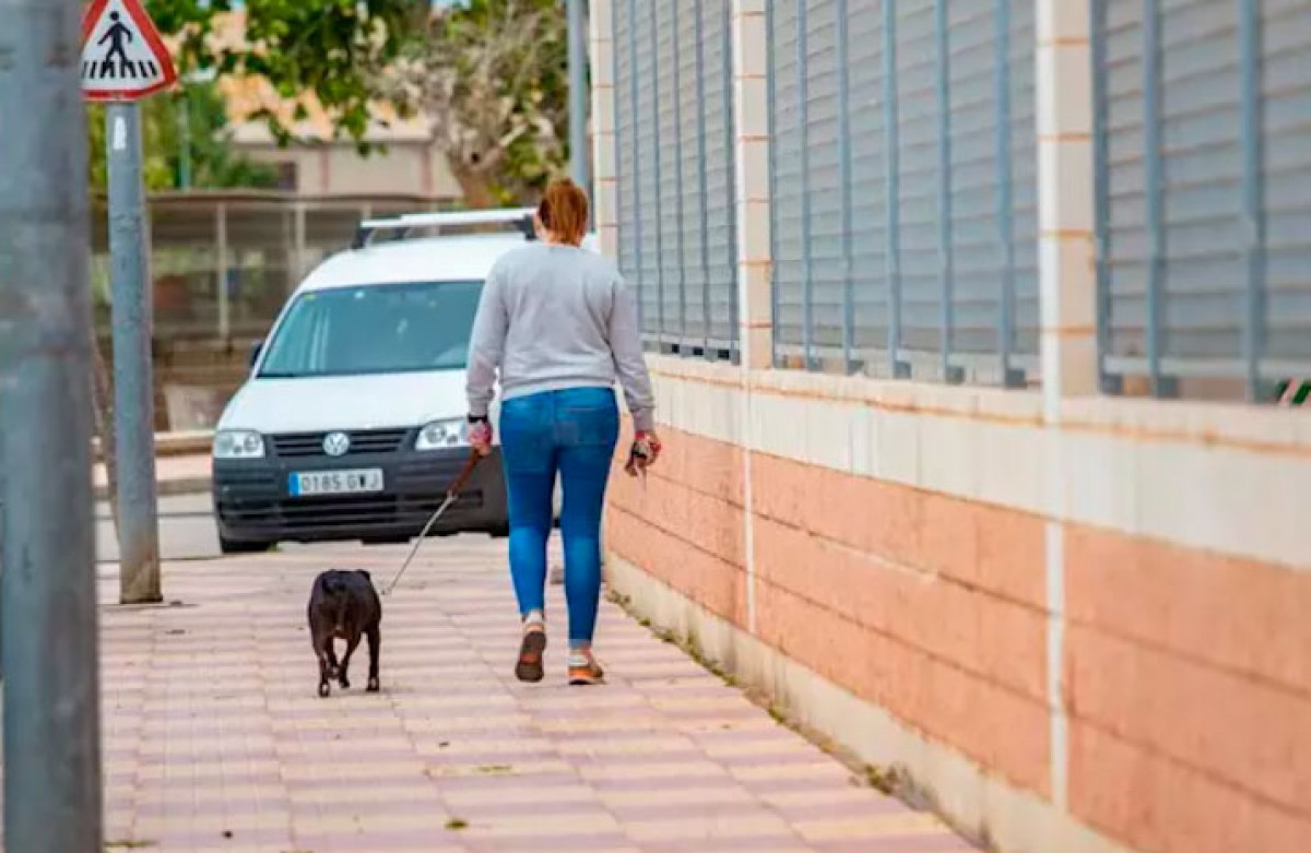 Alerta a Terrassa per la troballa de salsitxes amb claus i verí per a gossos en parcs