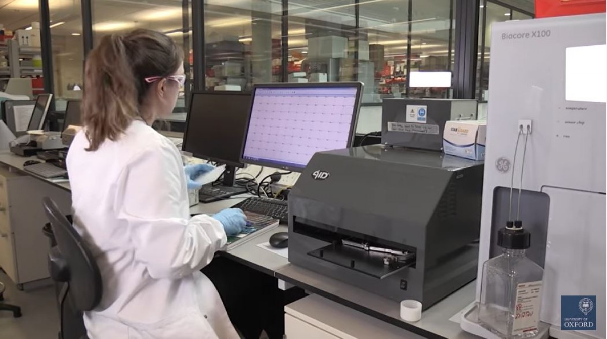 La Universitat d'Oxford, a punt per provar una vacuna contra el coronavirus en humans