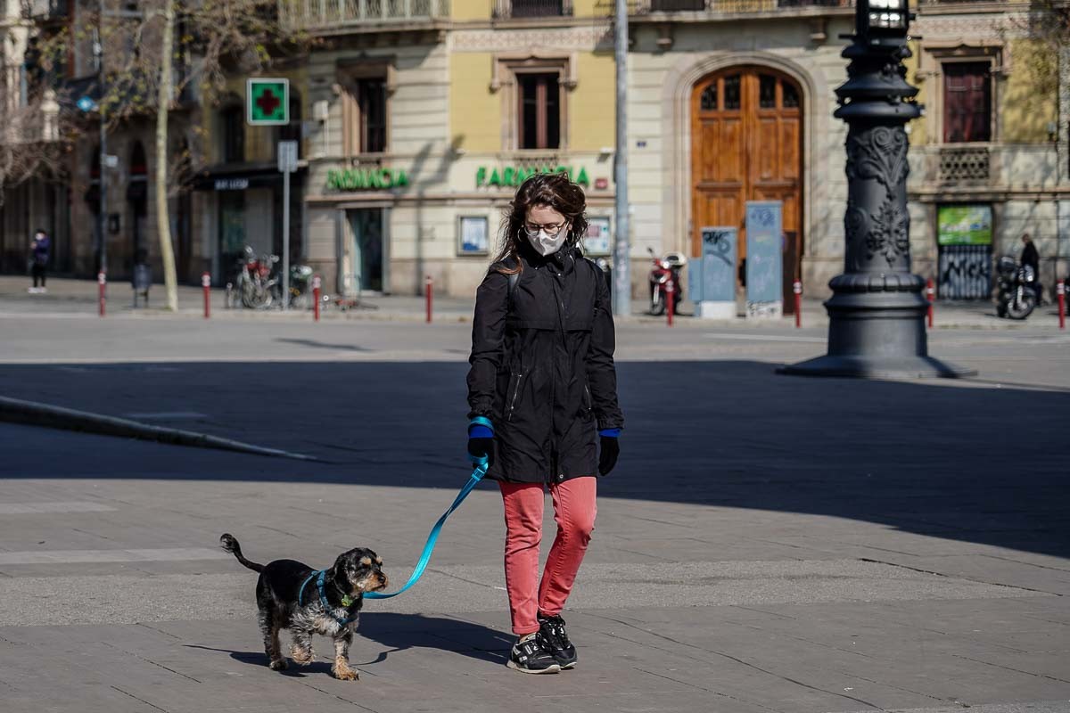 L'Estat distribueix 640.000 tests ràpids, 1,3 milions de mascaretes i compra 700 respiradors