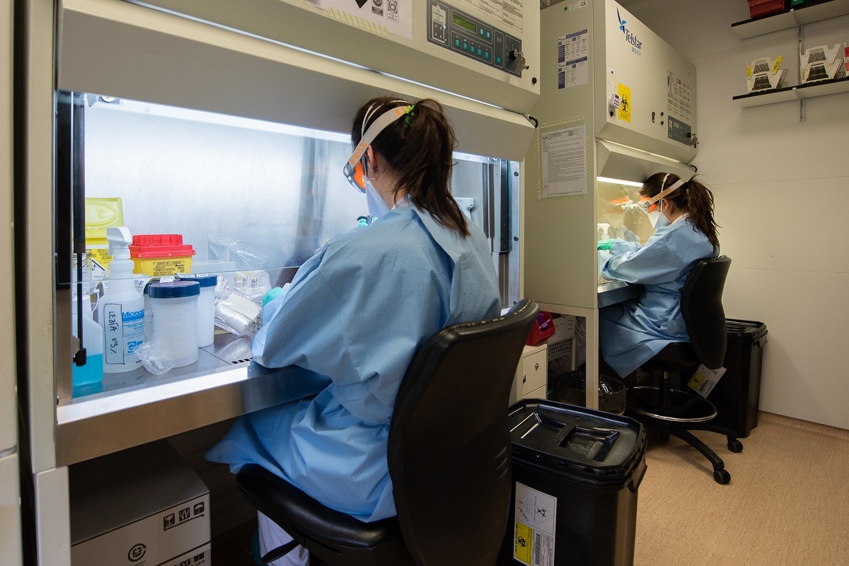 La majoria de tests de coronavirus s'han fet a persones de 40 a 60 anys