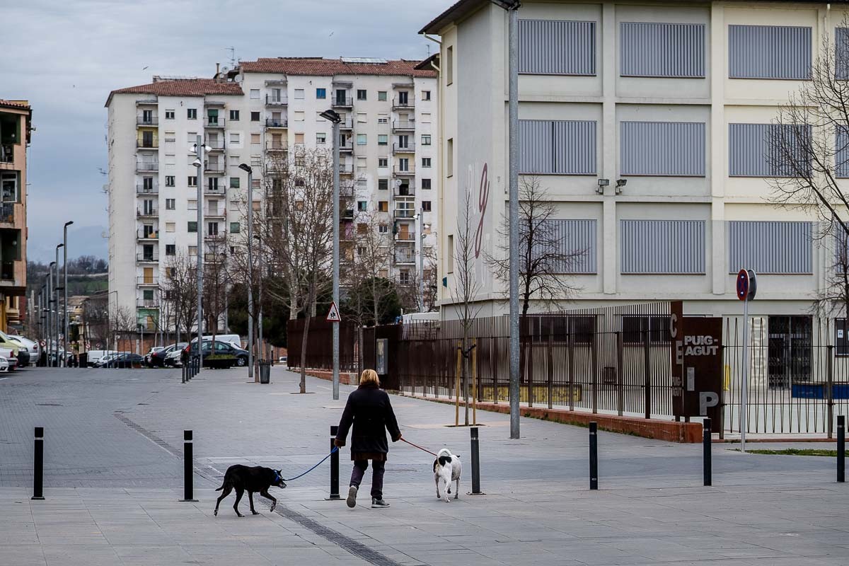 Una dona passeja els gossos, Manlleu - Adrià Costa