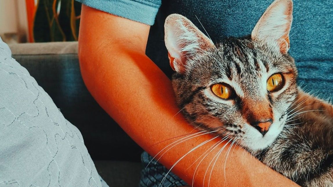 7 sèries actuals que tracten sobre dilemes de maternitats i paternitats